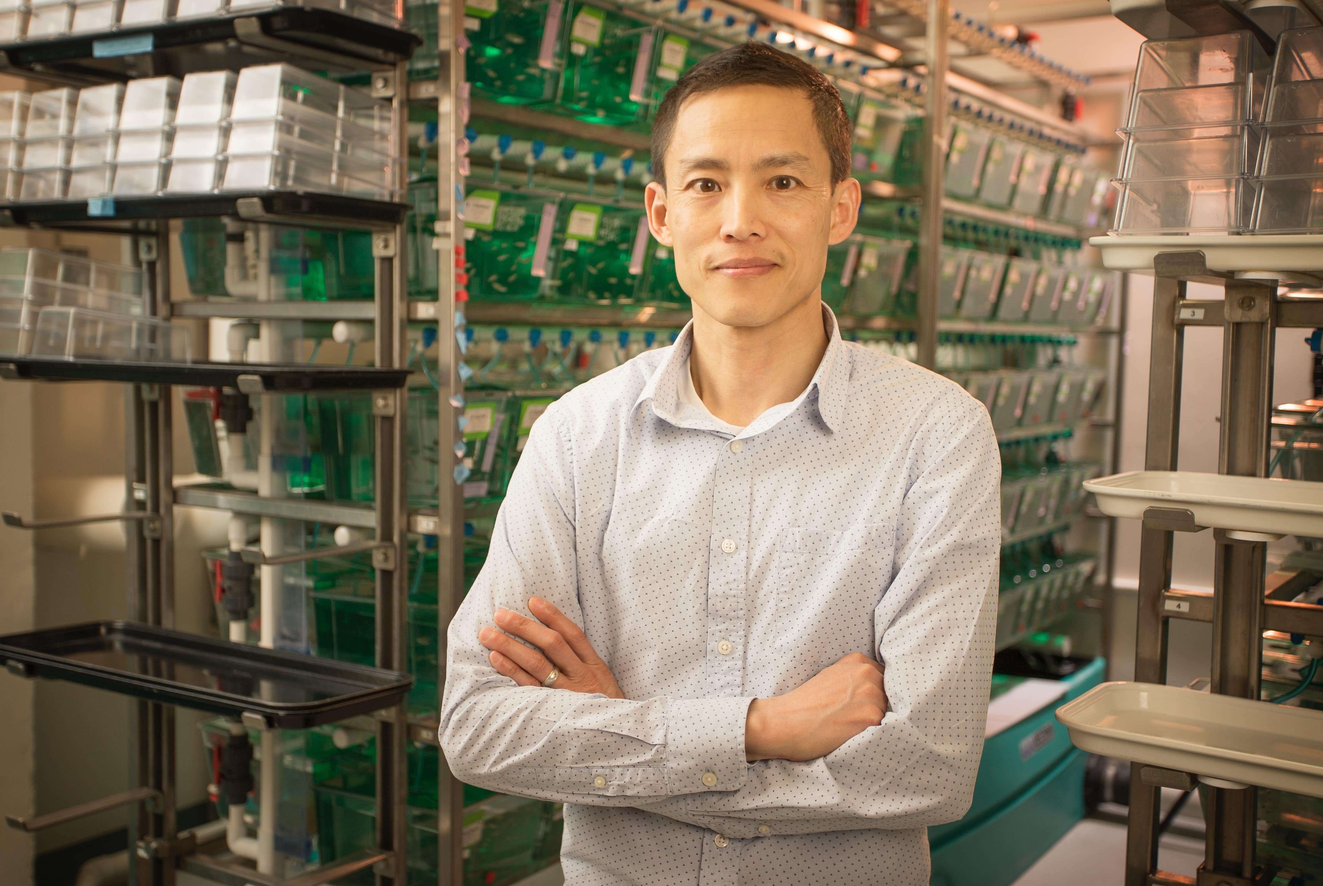 Viravuth (“Voot”) Yin, standing with arms crossed and smiling in front of a shelves holding tanks of zebrafish in his lab.