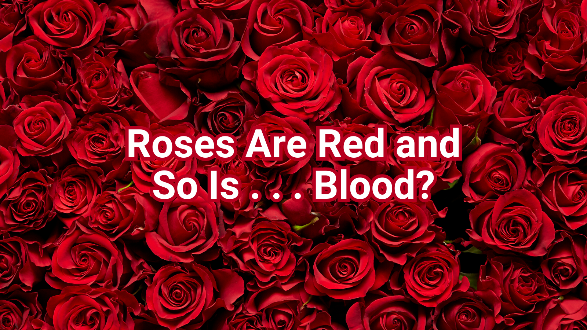 Many red roses with overlaying text that reads: Roses Are Red and So Is . . . Blood??