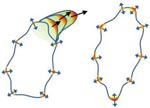 Messenger proteins (left). When these proteins aren’t activated, the cell doesn’t move (right). Credit: Devreotes Lab, Johns Hopkins University School of Medicine.