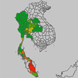 Screen shot from the video showing dengue incidence in Southeast Asia.