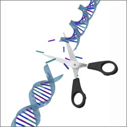 Illustration of a DNA strand being cut by a pair of scissors.