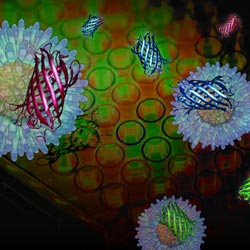 Illustration of red, green and blue fluorescent proteins.