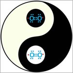 Free radicals in an ying-yang symbol