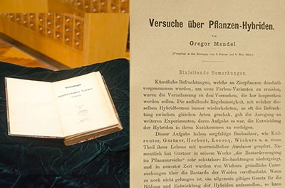 Original edition of Gregor Mendel’s 1866 publication, Experiments in Plant Hybridization