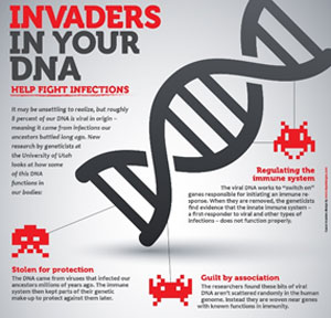 Invaders in your DNA infographic