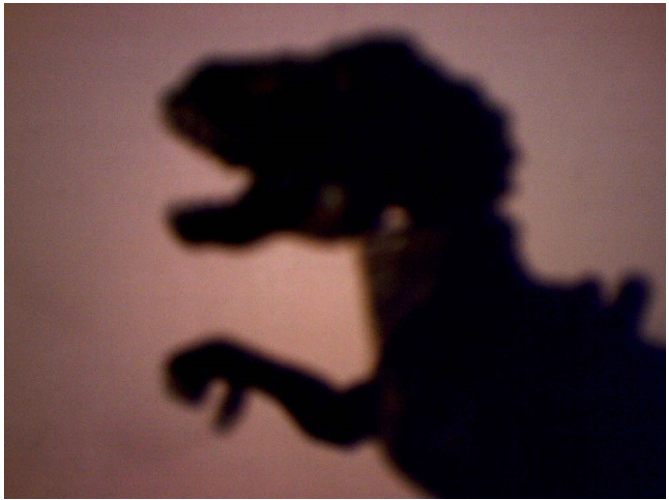 Dinosaur shadow