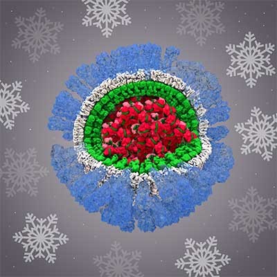 The H1N1 flu virus as a decorative holiday ornament of blue, white, green, and red, nestled in a grey backdrop with white snowflakes. Refer to text for description.