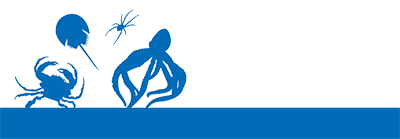 Blue banner with silhouettes of a king crab, horseshoe crab, spider, and squid.