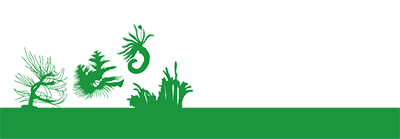 Green banner with silhouettes of various sea worms, including the Christmas tree worm, feather duster worm, and tubeworms.