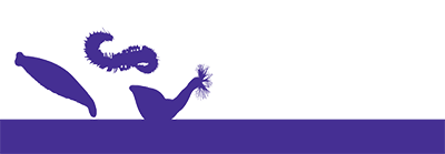 Purple banner with silhouettes of a duck leech, bristle worm, and peanut worm.