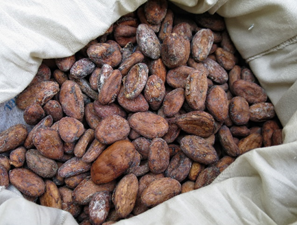 Raw cacao beans in a bag.