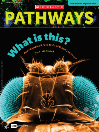 Cover of Pathways student magazine showing a microscopy image of a fruit fly's head with bright blue eyes and the featured questions: What is this? And what does it have to do with how you sleep?
