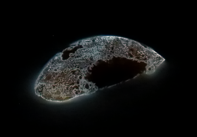 A glowing, oval-shaped piece of white phosphorus flecked with black.