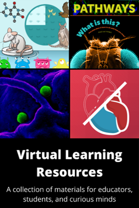 A collage showing a group of animated creatures, the cover of Pathways student magazine, a microscopy image of a viral infection, and an illustration of a human heart. Text reads: Virtual Learning Resources: A collection of materials for educators, students, and curious minds.