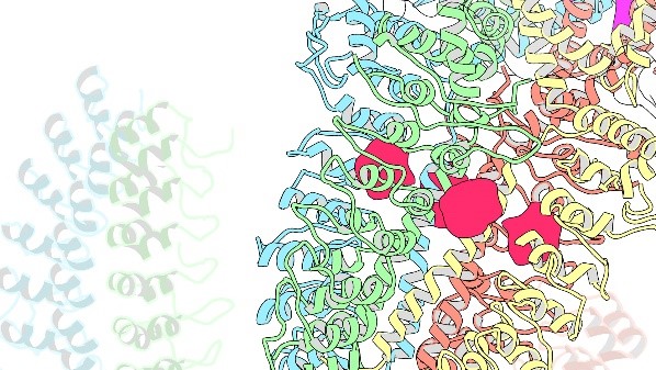 Intertwined blue, green, yellow, and orange spirals with three pink clusters.