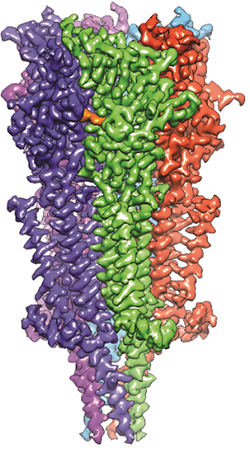 A funnel-shaped purple, green, and red structure with a small, orange spot near the top.