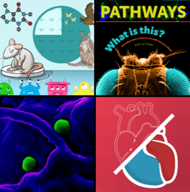 A collage showing a group of animated creatures, the cover of Pathways student magazine, a microscopy image of a viral infection, and an illustration of a human heart.