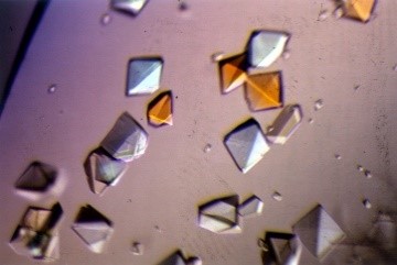 Clear and amber diamond-shaped crystals.