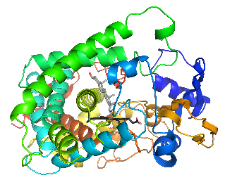 A round protein structure made up of green, blue, yellow, and orange ribbon spirals.