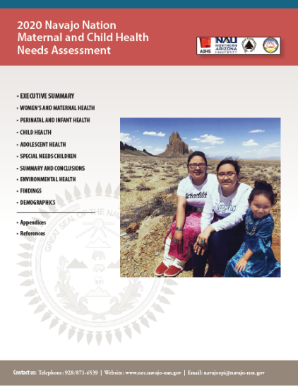 A page with the title “2020 Navajo Nation Maternal and Child Health Needs Assessment,” a table of contents, and a photo of three Navajo people in a desert landscape.
