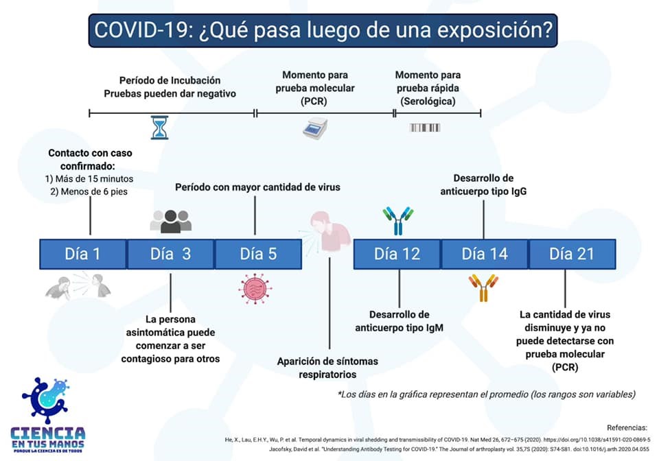 A timeline for COVID-19 testing written in Spanish.