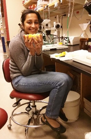 Dr. Rajan sitting in a lab.