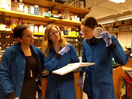 Dr. Komor standing between two other researchers, all wearing lab coats and gloves. She’s holding an open lab notebook and pointing to a Petri dish that the researcher to her left is holding up.
