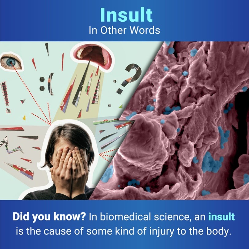 Below the title “Insult: In Other Words,” two images are separated by a jagged line. On the left is a woman covering her face with both hands as an eye looks at her and a mouth shouts at her. On the right are spherical bacteria on a rough surface. Under the images, text reads: “Did you know? In biomedical science, an insult is the cause of some kind of injury to the body.”