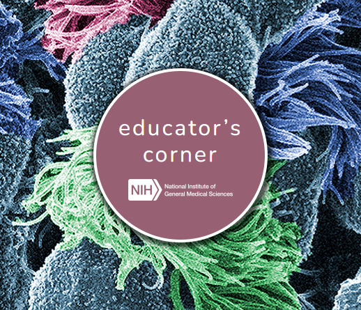educators-corner-logo-large-margin.png