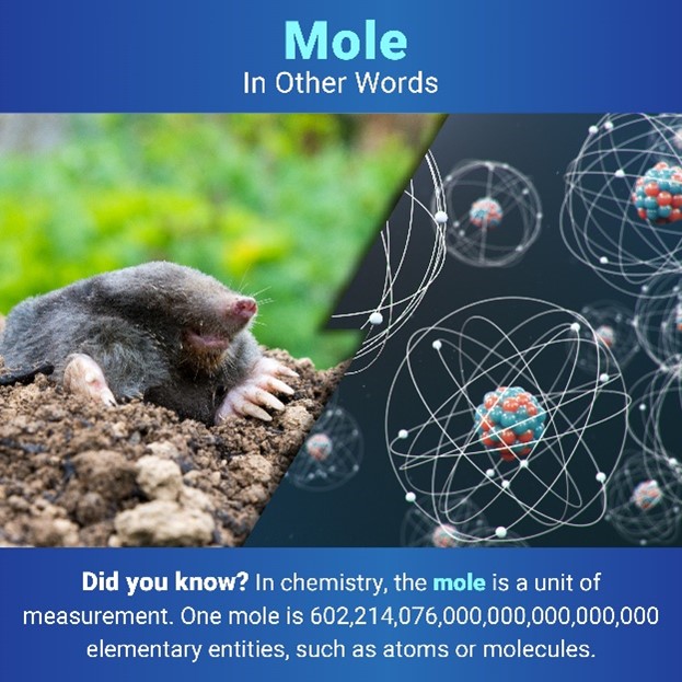 Below the title, “Mole: In Other Words,” two images are separated by a jagged line. On the left is a picture of a mole—the animal. On the right is a cartoon image of atoms. Under the images, text reads: “Did you know? In chemistry, the mole is a unit of measurement. One mole is 602,214,076,000,000,000,000,000 elementary entities, such as atoms or molecules.”