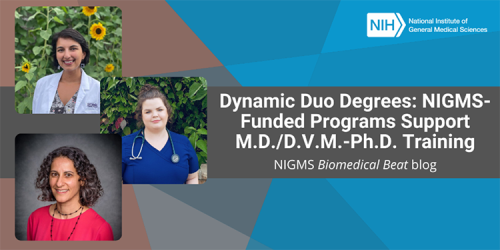 Dynamic Duo Degrees: NIGMS-Funded Programs Support M.D./D.V.M.-Ph.D ...