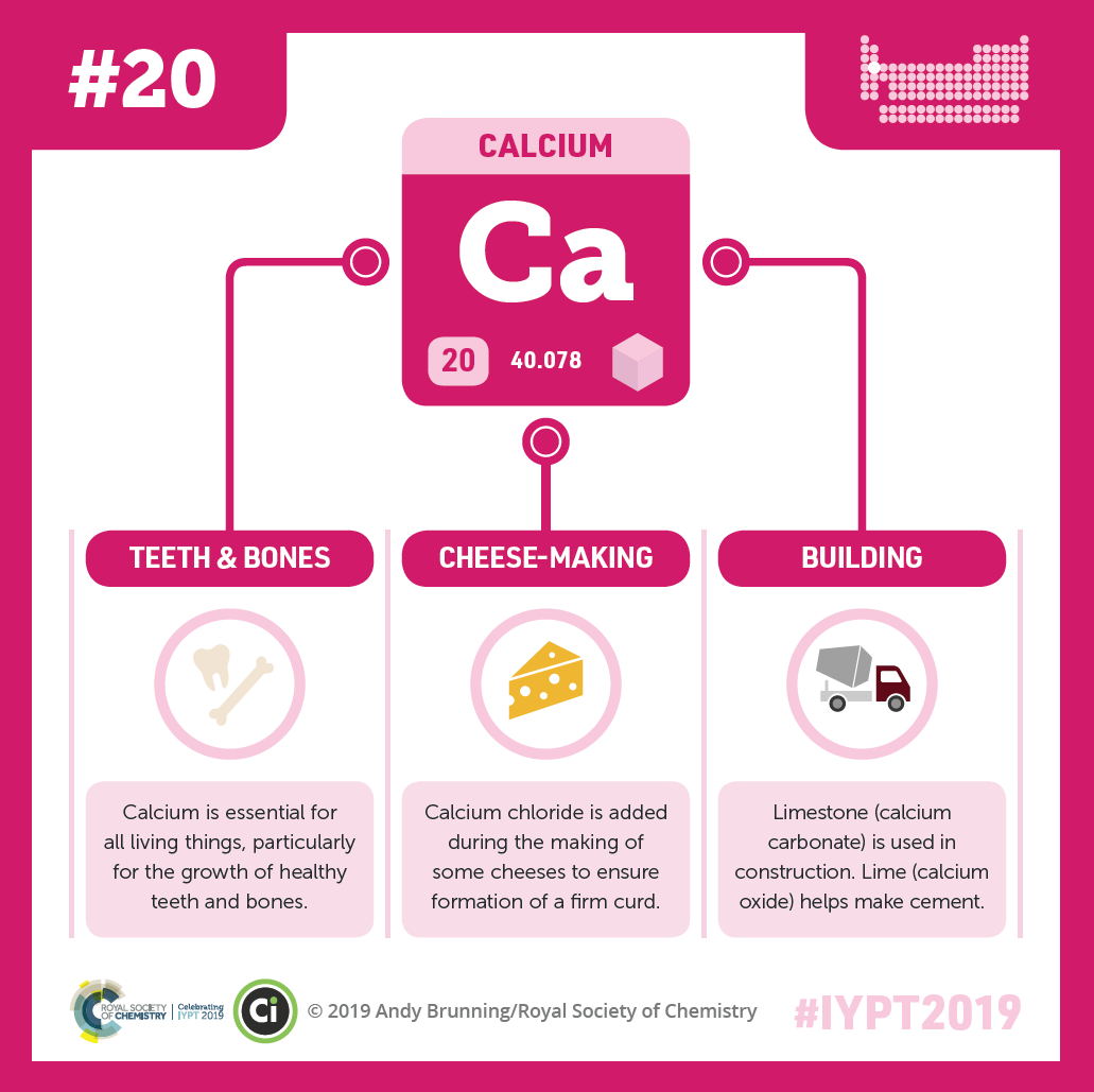 A graphic showing calcium’s symbol “Ca”, atomic number, and atomic weight connected by lines to illustrations of teeth and bones, cheese, and a cement-mixing truck (calcium carbonate is used in construction).