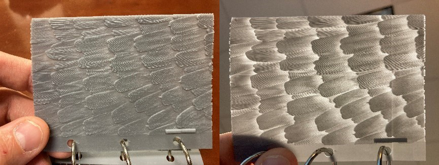 On the left, a palm-sized rectangle of plastic showing a 3D representation of feathers. On the right, the same piece of plastic held up to a light to illuminate the fine details of the feathers from behind.