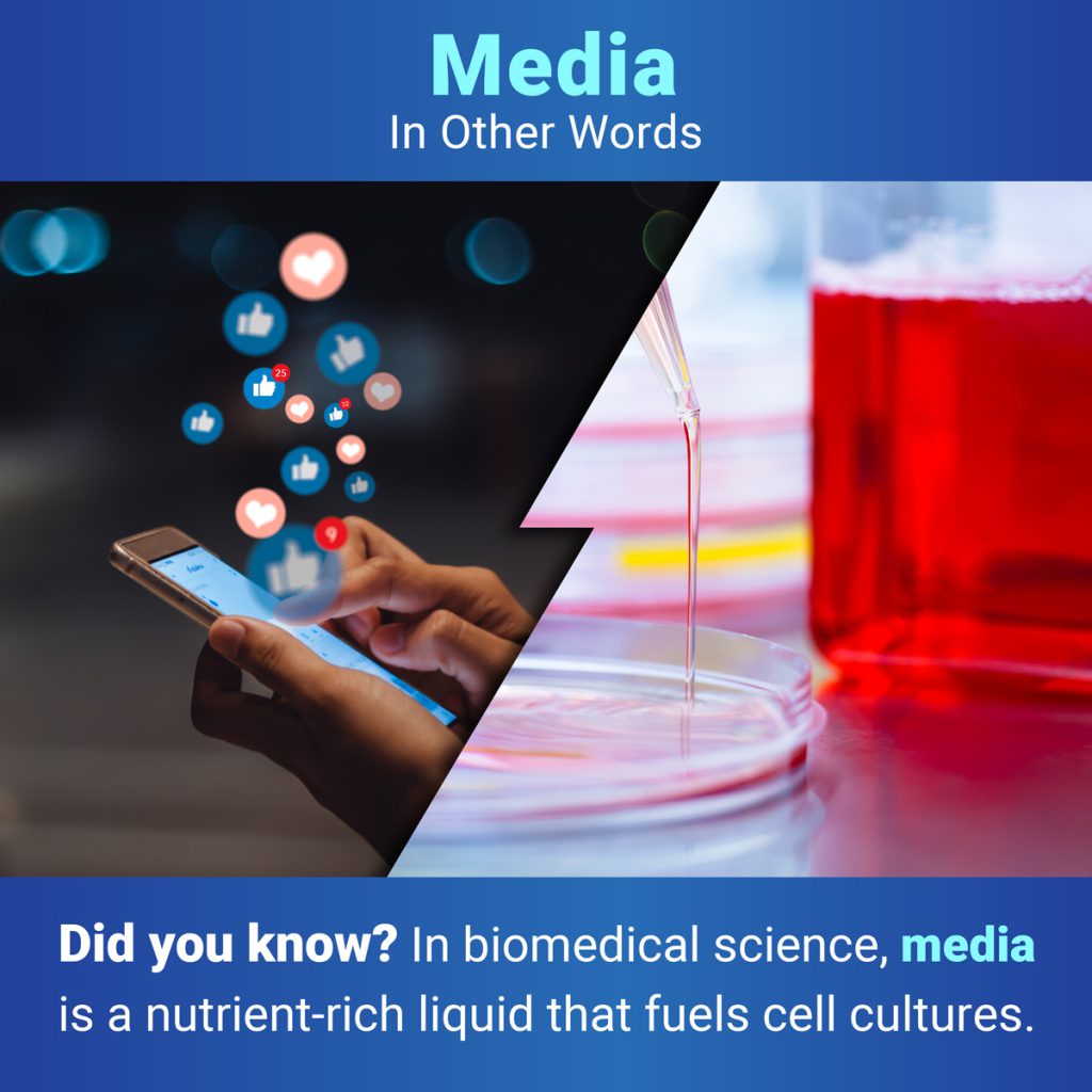 Below the title “Media: In Other Words,” two images are separated by a jagged line. On the left is a hand holding a phone using social media with thumbs up and hearts floating off the screen. On the right is a pipette dispensing media into a Petri dish and a media bottle in the background. Under the images, text reads: “Did you know? In biomedical science, media is a nutrient-rich liquid that fuels cell cultures.”