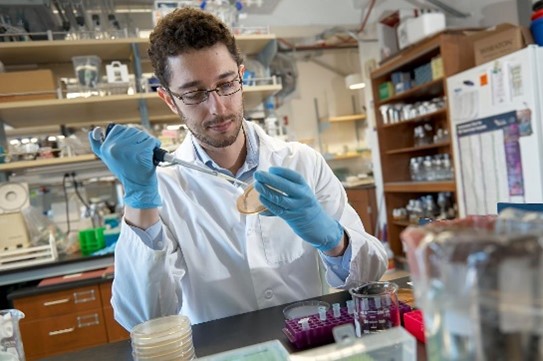 Dr. Santiago-Frangos in a lab coat and gloves pipetting onto a Petri dish.