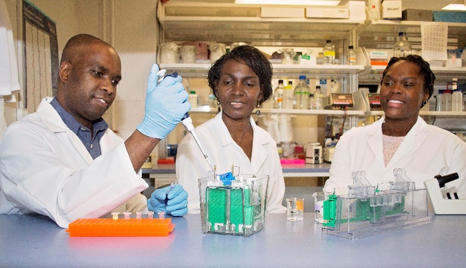 Dr. Ongeri and her two students sit at a laboratory bench in white lab coats. She and the student on the right observe the student on the left working with a pipette. A tube rack and lab equipment are on the benchtop.