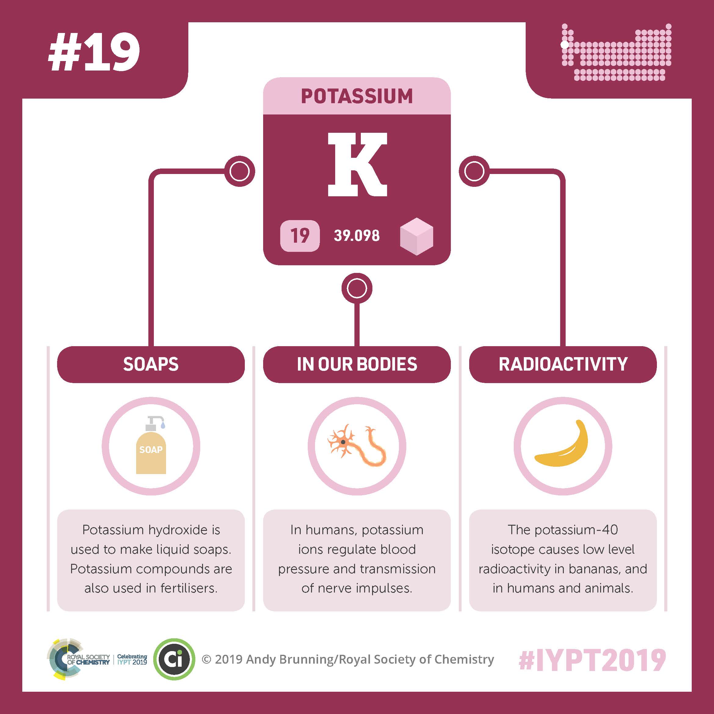 A graphic showing potassium’s symbol K, atomic number 19, and atomic weight 39.098 connected by lines to illustrations of soap, a nerve cell, and a banana. Potassium hydroxide is used to make liquid soaps. Potassium compounds are also used in fertilizers. In humans, potassium ions regulate blood pressure and transmission of nerve impulses. The potassium-40 isotope causes low level radioactivity in bananas and in humans and animals. Across the bottom of the graphic is the logo for the Royal Society of Chemistry celebrating IYPT 2019, the Compound Interest logo, and #IYPT2019.