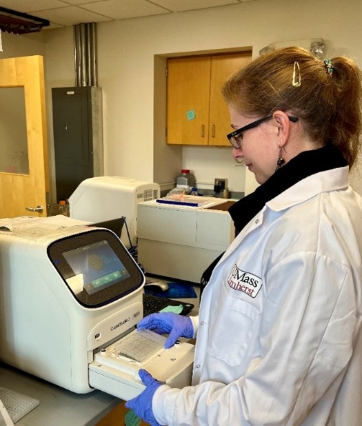 Dr. Muller, placing a clear, rectangular well plate into the open drawer of a machine in the laboratory. 