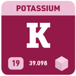 A square showing Potassium’s symbol (K), atomic number (19), and atomic weight (39.098). 