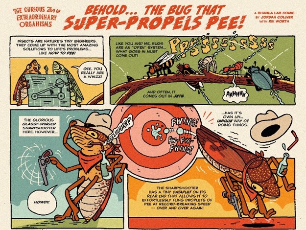 A 2-page comic describing how sharpshooters pee.