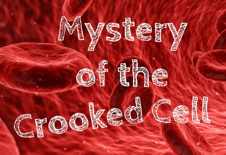 Text that reads Mystery of the Crooked Cell placed over a picture of red blood cells floating through a blood vessel.
