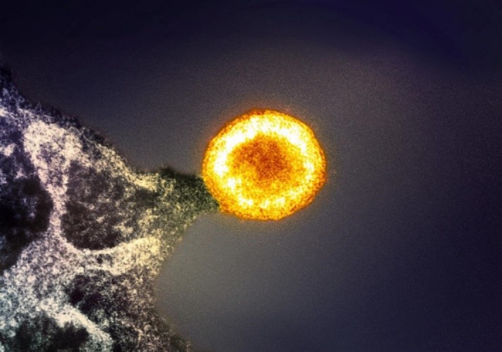 A yellow orb (HIV) resting on a protruding tip of a gray mass (infected T-cell).