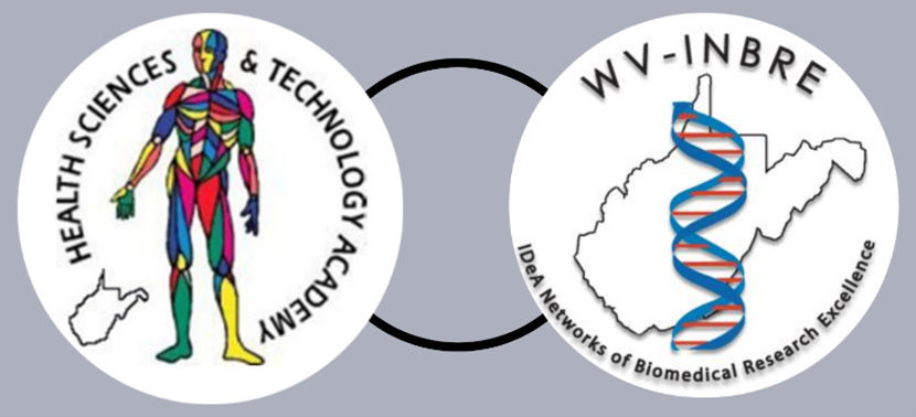 Logos of the West Virginia HSTA and WV-INBRE programs. HSTA’s logo shows a colorful icon image of the human body’s muscular system, with a state icon of West Virginia off to the left. INBRE’s logo shows a double helix overtop a state icon of West Virginia.