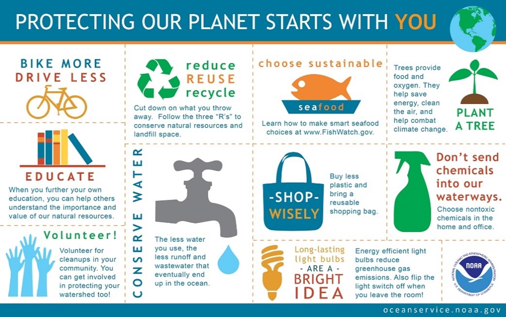 Infographic titled Protecting Our Planet Starts With You, showing 10 things people can do to protect the earth: 1. Bike more and drive less. 2. Educate ourselves and others. 3. Volunteer for community cleanups. 4. Reduce, reuse, and recycle. 5 Conserve water. 6. Choose sustainable seafood. 7. Buy less plastic and shop with a reusable bag. 8. Use energy-efficient light bulbs. 9. Plant a tree. And 10. Choose nontoxic chemicals in the home and office.