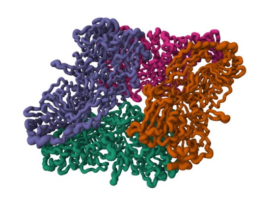 Lactase shown as a clumped, oblong mass of purple, magenta, orange, and green.