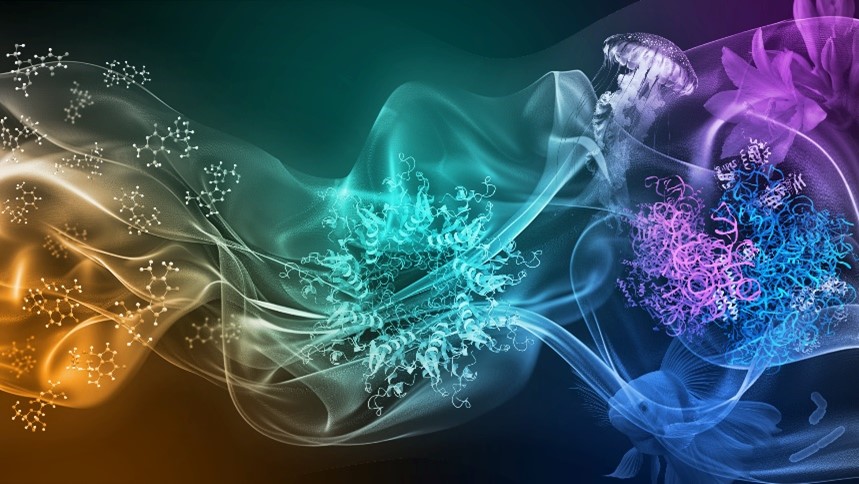 Three illustrations covered by a colorful transparent sheet. On the right in blue and purple is a ribosome with outlines of a jellyfish, flower, fish, and bacteria cells. In the center in turquoise is a protein with a pore in the middle, and on the left in orange are different molecules.