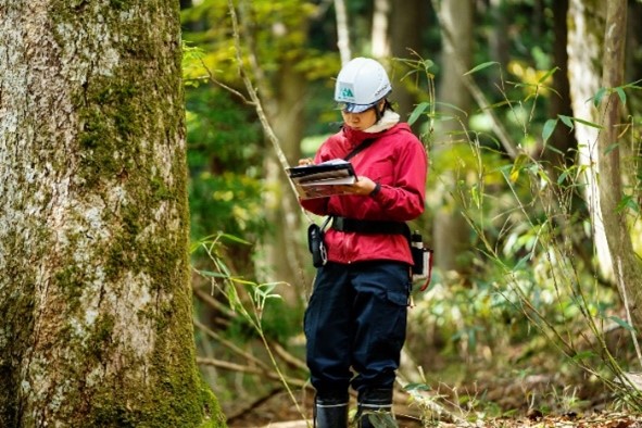 A person standing in the forest wearing a hard hat and outdoor gear and writing on a clipboard.