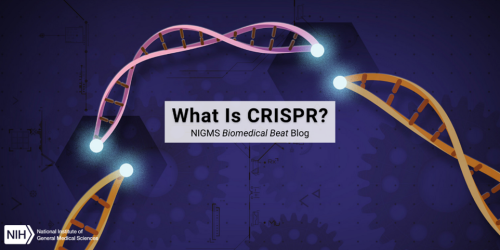 What Is CRISPR? – Biomedical Beat Blog – National Institute of General ...