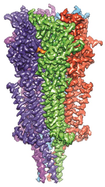 A receptor shown as a rough, cone-shaped structure made up of vertical columns in different colors. The medicine is a small spot bound between two of these columns.