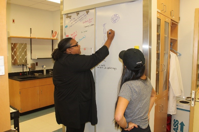 Dr. Starbird writing on a whiteboard in a lab while a student watches.